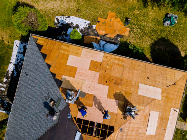 Best Roof Maintenance Services  in Browntown, PA