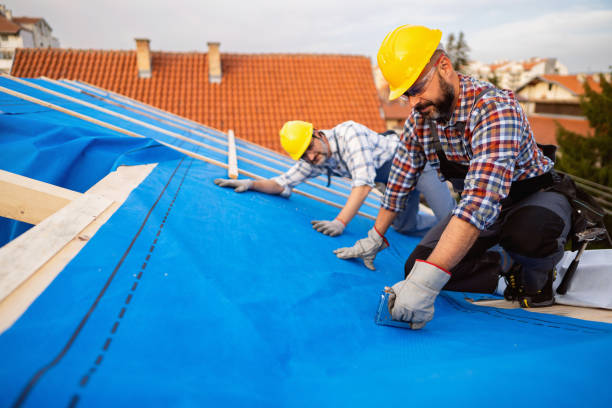 Best Roof Gutter Cleaning  in Browntown, PA